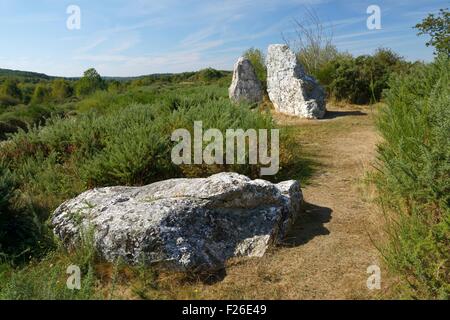 Landes de Cojoux, Saint-Just, Brittany. 3 monoliti preistorici noti come le Demoiselles de Cojoux Foto Stock