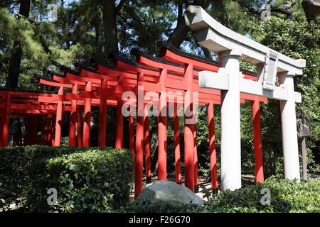 Torii gate a sacrario scintoista in Giappone Foto Stock