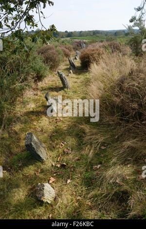 Landes de Cojoux, Saint-Just, Brittany, Francia. La linea di pietre immediatamente a nord-est della tomba di passaggio di Croix Saint Pierre west Foto Stock