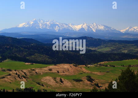 Molla. Monti Tatra. Vista dal lato polacco Pieniny Mountains. Foto Stock