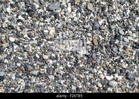 Sfondo della spiaggia bagnata, costituito da piccole pietre grigie Foto Stock