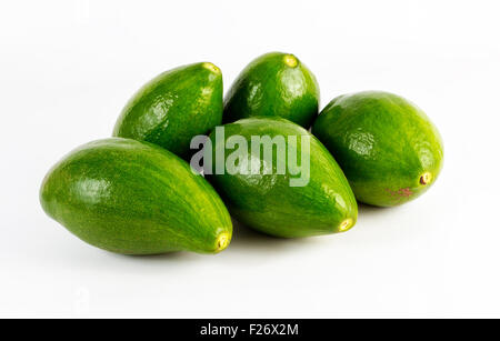 Un gruppo di cinque frutti di avocado. Frutti conformata come una pera che può pesare da 100 1.000 g. La pelle è di colore verde scuro e a Foto Stock