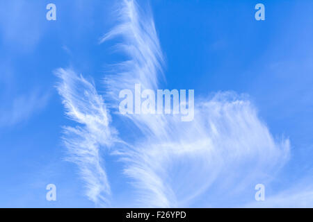 Cirrus nuvole nel cielo blu su una luminosa giornata di sole.