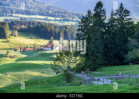 Agriturismo, laminazione verdi prati e alberi in valle, Eisenberg, Baviera, Germania Foto Stock