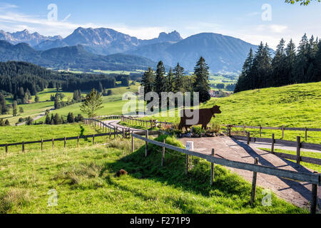Alpi bavaresi, case coloniche, laminazione verdi prati e alberi in valle, Eisenberg, Baviera, Germania Foto Stock