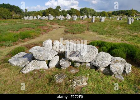 Carnac, Brittany, Francia. Il Kermario Dolmen con parte del gruppo Kermario di pietra preistorici allineamenti di riga dietro Foto Stock