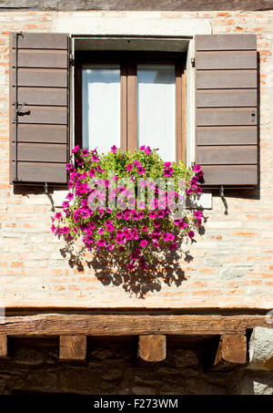 Vaso di fiori sulla finestra Foto Stock