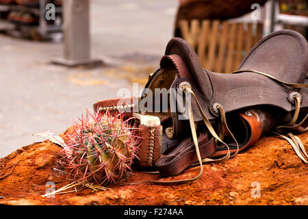 Sella e cactus sulla roccia rossa Foto Stock