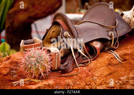 Sella e cactus sulla roccia rossa Foto Stock