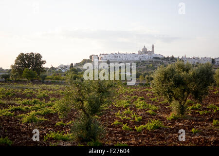 Locorotondo in Valle d'Itria (Italia) Foto Stock