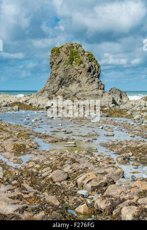 Una vista di formazioni rocciose a Widemouth Bay North Cornwall, Regno Unito Foto Stock