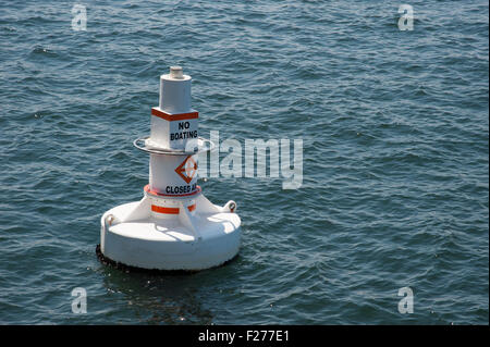 Un galleggiante boa bianca alla deriva nel mare Foto Stock