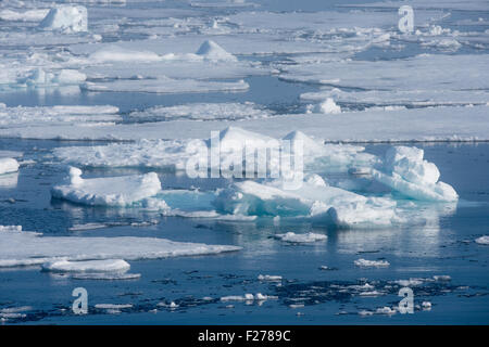 Norvegia, il Mare di Barents, Svalbard, Nordaustlandet. Flusso di ghiaccio lungo il Nordaust-Svalbard Riserva Naturale. Foto Stock