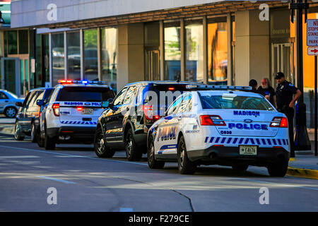 Più automobili di polizia al di fuori di un edificio avente cacciati giù un sospetto in downtown Madison Wisconsin Foto Stock