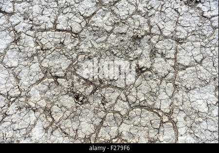 Secco, incrinato argilla in Sossusvlei (a volte scritto Sossus Vlei). Si tratta di un sale e pan di argilla circondata da alte dune rosse, trova Foto Stock