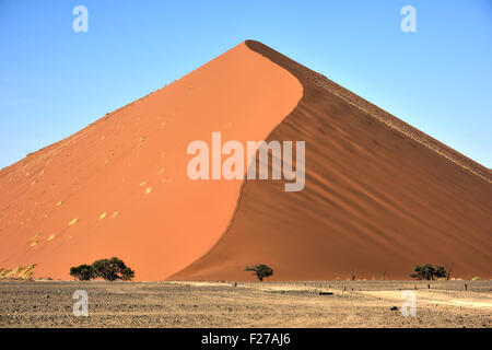 Alte dune rosse, situato nel deserto del Namib, il Namib-Naukluft Parco Nazionale della Namibia. Foto Stock