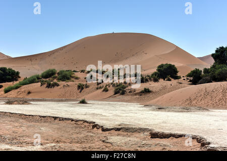 Sossusvlei (a volte scritto Sossus Vlei) è un sale e pan di argilla circondata da alte dune rosse, situato nella parte meridionale di Foto Stock