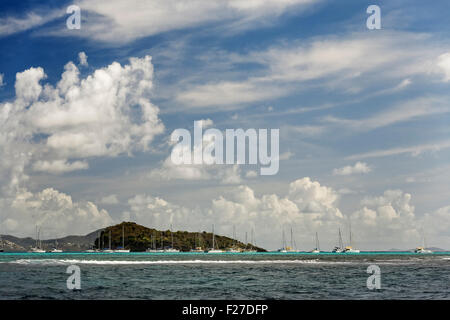 Tobago Cays Marine Park, Saint Vincent e Grenadine, dei Caraibi Foto Stock