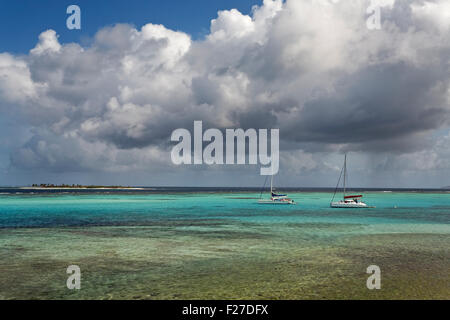 Tobago Cays Marine Park, Saint Vincent e Grenadine, dei Caraibi Foto Stock