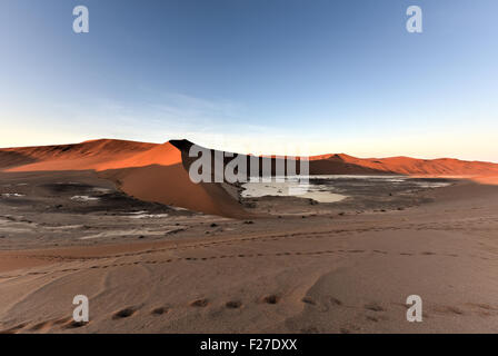 Vlei nascosto nella parte meridionale del deserto del Namib, il Namib-Naukluft Parco Nazionale della Namibia. Foto Stock