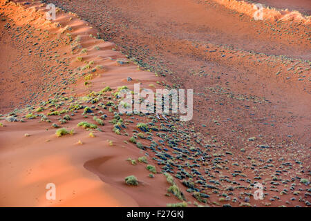 Vista aerea di alte dune rosse, situato nel deserto del Namib, il Namib-Naukluft Parco Nazionale della Namibia. Foto Stock