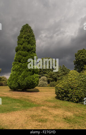 I campi e gli alberi della campagna attorno a Lamberhurst Foto Stock