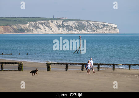 Cane a camminare sulla spiaggia al lago a Isle of Wight, Regno Unito Foto Stock