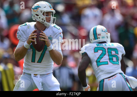 SEP 13, 2015 : Miami Dolphins quarterback Ryan Tannehill (17) scende di nuovo a passare durante l'apertura di stagione match tra i delfini di Miami e Washington Redskins a FedEx in campo Landover, MD. I Delfini sconfitti alle pellerosse 17-10 Foto Stock