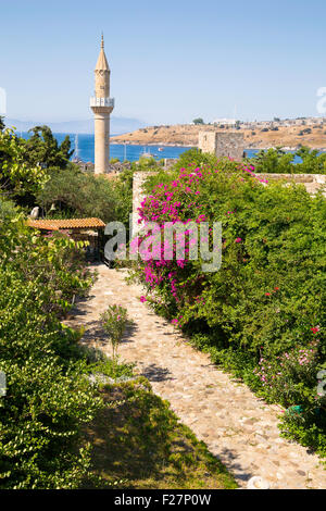 Pietra fiorita percorso della vecchia moschea storica nel castello di Bodrum Foto Stock