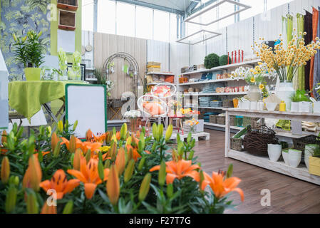 Fiori per la vendita nel centro giardino, Augsburg, Baviera, Germania Foto Stock