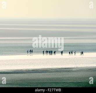 Visite guidate a piedi parte cross velme a bassa marea da Mont Saint Michel, in Normandia. Guardando ad ovest da Pointe du Grouin de Sud Foto Stock