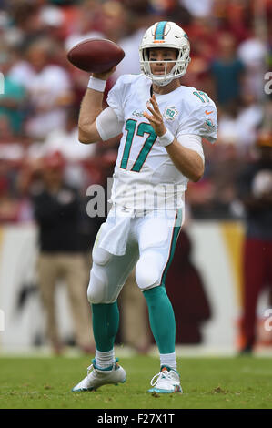 SEP 13, 2015 : Miami Dolphins quarterback Ryan Tannehill (17) scende di nuovo a passare durante l'apertura di stagione match tra i delfini di Miami e Washington Redskins a FedEx in campo Landover, MD. I Delfini sconfitti alle pellerosse 17-10 Foto Stock