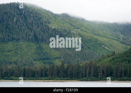 Clearcuts sull isola di Baranof nel sud-est dell Alaska. Foto Stock