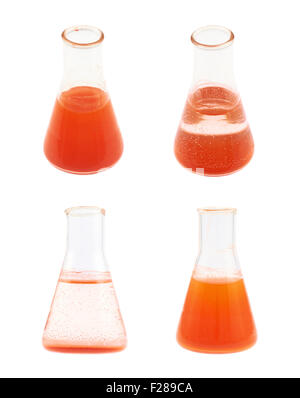 Matraccio di Erlenmeyer riempito con il rosso liquido colorato isolate su uno sfondo bianco, set di quattro diversi scorci Foto Stock