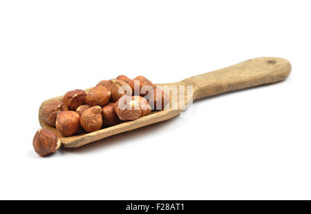 Le nocciole sulla pala Foto Stock