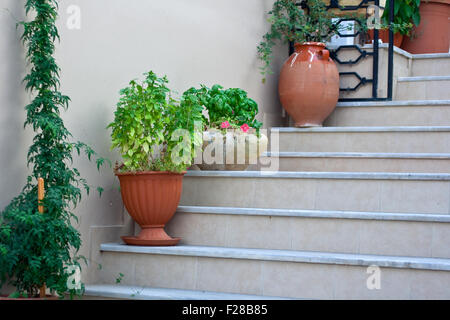 Vasi di terracotta con piante su scale all'aperto Foto stock - Alamy