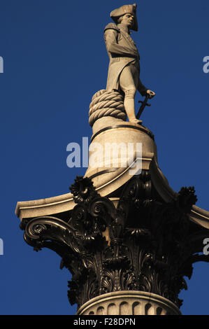Nelson's Colonna (1840-1843). Progettato da William Railton (1800-1877), fu costruito per commemorare l'ammiraglio Orazio Nelson (1758-1805). Ordine corinzio e Dartmor granito. È coronato dalla pietra arenaria Craigleith statua di Nelson, da Edward Hodges Baily (1788-1867). Trafalgar Square. Londra. Regno Unito. Foto Stock