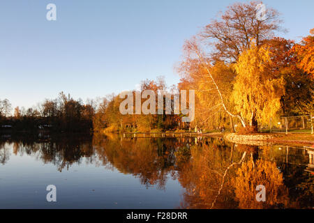 La riflessione di alberi nel lago, lago Wessling, Baviera, Germania Foto Stock