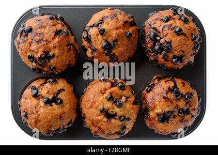 Cibo: ribes muffin nella teglia, isolati su sfondo bianco Foto Stock