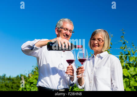 Senior donna e uomo di bere vino in vigna la tostatura con gli occhiali Foto Stock