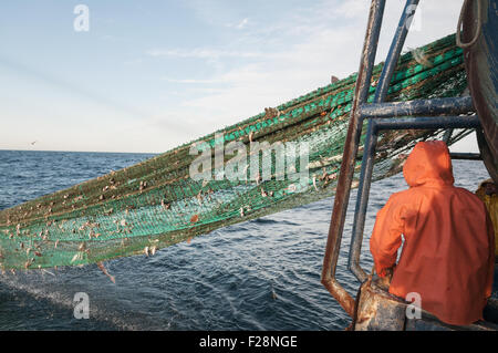 Traino in dragger net piena di eglefino e il gattuccio. Georges Bank, New England Foto Stock