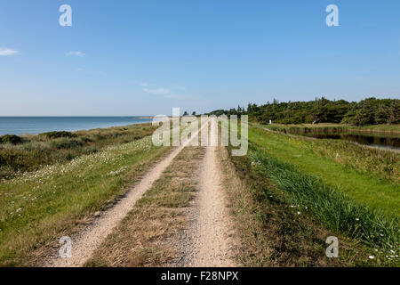 Strada sterrata che passa attraverso il paesaggio in riva al mare, Schleswig-Holstein, Germania Foto Stock