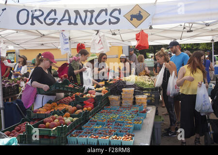 Attenti alla salute di persone acquista presso il Grand Army Plaza Farmers Market di Brooklyn, New York. Foto Stock