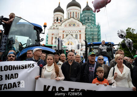 (150914) -- TALLINN, Sett. 14, 2015 (Xinhua) -- gli agricoltori partecipano nella nazionale di protesta degli agricoltori contro il governo della politica agricola e delle sanzioni contro la Russia, di fronte al Parlamento estone edificio della piazza di Tallinn, Estonia, Sett. 14, 2015. Centinaia di trattori estone e agli agricoltori di tutto il paese baltico bloccato la piazza di fronte al parlamento estone edificio protestando contro il governo estone la politica agricola e l'UE-allied sanzioni contro la Russia, che ha causato la loro breve profitti dai precedenti esportazioni di prodotti agricoli destinati alla Russia. (Xinhua/Sergei S Foto Stock