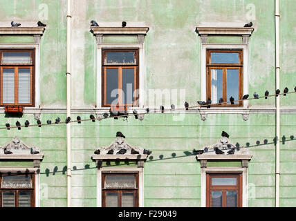 I piccioni sui fili, casa di windows sullo sfondo Foto Stock