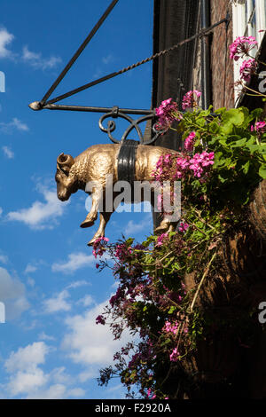 Un dettaglio del vello d'oro public house di York, Inghilterra. Il Vello d'oro è detto di essere il più ossessionato pub di York. Foto Stock