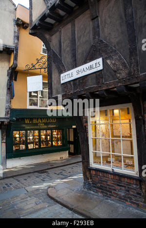 YORK, Regno Unito - 27 AGOSTO 2015: una vista di poco Shambles in York, il 27 agosto 2015. Foto Stock