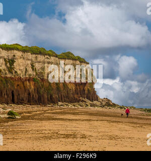 Piscine di fango a Snettisham spiaggia Norfolk Foto Stock