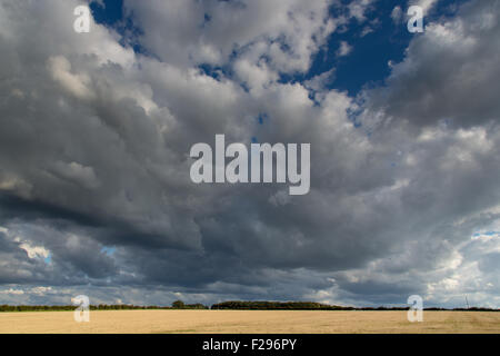 Cielo drammatico su terreni agricoli Cley North Norfolk Foto Stock