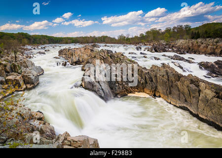 Rapids nel fiume Potomac a Great Falls Park, Virginia. Foto Stock